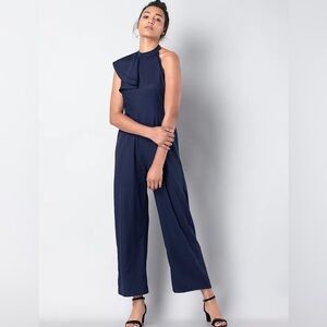 Faballey Navy Blue Jumpsuit